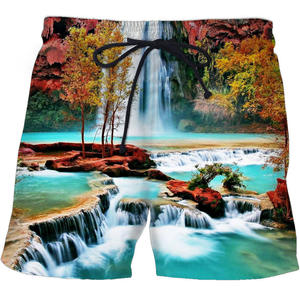 <b>Men's</b> Board Shorts Hot Shorts Print Quick Dry Eco-Friendly Breathable Drawstring Casual Swim <b>Trunks</b> Short Length Low Waist - Product Image 1