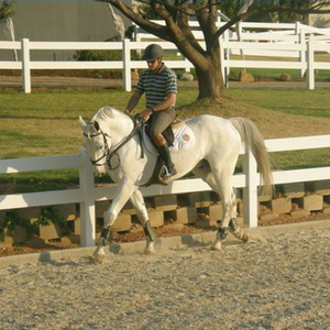 Valla rectangular de dos rieles para caballos, de 3 pies, con vinilo grabado termotratado, tipo pista de carreras, y valla de PVC para margen de río - Product Image 3