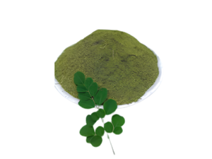 Premium Quality Moringa Powder for Commercial Food Applications and International Botanical Product Supply High Quality Powder - Product Image 1