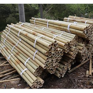 Prix le plus bas - Poteaux en bambou naturel, cannes/bâtons en bambou de taille moyenne pour le jardinage - Vente en gros de poteaux en bambou, faibles taxes - Product Image 2