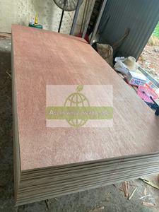Contreplaqué décoratif intérieur en eucalyptus avec placage Bintangor pour l'ameublement - Product Image 5