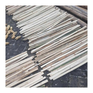 Bâton de bambou naturel séché du Vietnam pour plantes grimpantes (haricots, concombres, pois) – Support de croissance agricole 99 Gold Data - Product Image 4