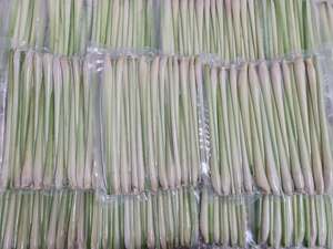 Herbe de citronnelle entière surgelée IQF de qualité supérieure, naturelle et aromatique, exportateur du Vietnam - Product Image 6
