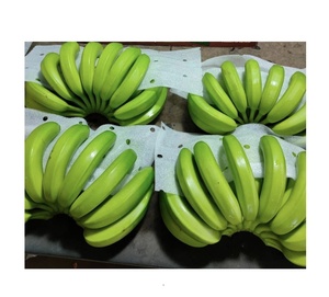 Cavendish Plátanos verdes frescos de Tanzania Grado Solapur Mejor precio Frutas y verduras Plátano de Vietnam 99 GD - Product Image 4