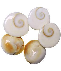 Petits Laghu Nariyals traditionnels en bois poli, Mouli Kalawa Shriphal Mahalaxmi Coconut Christmas Pujan et autres articles de Puja - Product Image 5