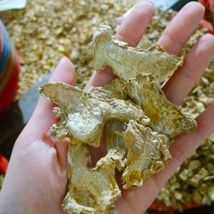 Tranches de gingembre séché bio du Vietnam |   Qualité supérieure pour le thé, la cuisine et les collations - Product Image 5