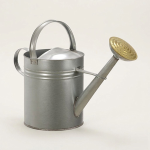 Premium Galvanized Metal Watering Can With Brass Accents Retro <b>Garden</b> Water Pot For Indoor & Outdoor Plants With Long Spout - Product Image 4