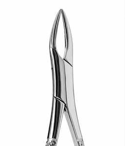 Forceps d'extraction dentaire en acier inoxydable chromé avec poignées texturées et pointes dentelées - Product Image 4