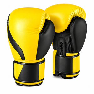 Équipement de boxe de haute qualité - Product Image 3