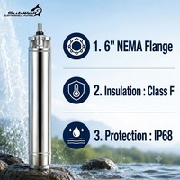 Bomba Sumergible Multietapa de Acero Inoxidable SubWell de 10 HP con Salida de 2 1/2 Pulgadas de Alta Presión para Aguas Termales
