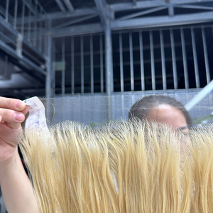 Top vente en gros 8-32 pouces vietnamien cheveux bruts dentelle frontale perruque textures droites HD pour les femmes noires non traitées Hd dentelle frontale perruque - Product Image 4