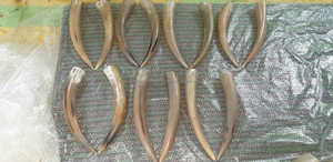 Cuerno Vikingo para Beber con Diseño Grabado, Cuerno Vikingo Grande para Beber con Soporte, Taza, Jarra, Venta Directa de Fábrica, Personalizado - Product Image 4