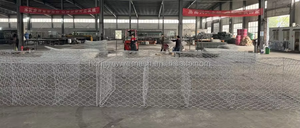 Prix usine Gabion panier boîte pierre <span class=keywords><strong>Cage</strong></span> rivière banc Protection Gabion tissé mur 3.05mm 2x1x1 1x1 pour le marché philippin - Product Image 4