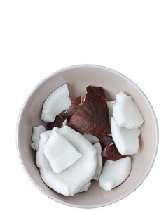 Best-seller Lait de coco en poudre avec prix incitatif - Product Image 1