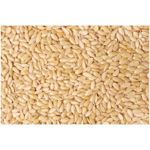 เมล็ดงาขาวปอกเปลือก ใหม่ - Product Image 1