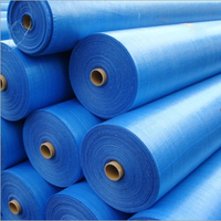 Bâche de protection pour palettes 180 GSM HDPE imperméable pliable en PE pour l'exportation