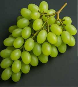 Uvas Verdes Frescas de Primera Calidad, Cosechadas en Granja, Sin Semillas, Marca Ocean Link Exim, para Suministro al por Mayor y Mercados Minoristas - Product Image 2