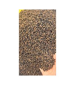 พริกไทยดำคุณภาพสูงส่งออกจำนวนมาก พร้อมส่ง คุณภาพพรีเมียม - Product Image 6