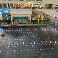 Fontaine flottante extérieure en acier inoxydable avec PLC programmable, spectacle aquatique musical et laser, équipement à sec à vendre