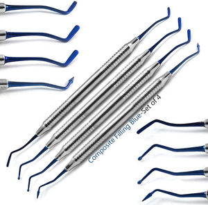 Juego de 6 Instrumentos Manuales Dentales para Rellenos de Composite, Kit Restaurador de Acero Inoxidable Clase I de Alta Calidad de Dentavex - Product Image 1