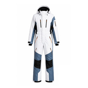 Combinaison de ski pour homme en gros, une pièce, imperméable, coupe-vent, pour snowboard, tenue d'hiver d'extérieur, fabricant de logos personnalisés - Product Image 1