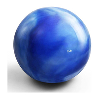 Bolas de ejercicio tonificantes para entrenamiento de fuerza y fisioterapia Productos deportivos y de entretenimiento