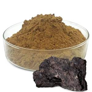 Extrait de Shilajit de haute qualité, poudre pure riche en acide fulvique pour la force, l'endurance et le soutien nutritionnel, disponible à la vente - Product Image 6