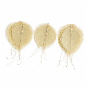 AQUA VRIKSHA Premium Natural Skeleton Bodhi Leaves for Crafts, Decoration, Resin Art & Floral Arrangements|Pack of 50 - Product Image 4