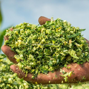 Alimentation Premium Kim Minh International en ensilage de maïs fermenté à partir de plantes entières pour bovins et bétail, 10 % d'humidité max, durée de conservation de 12 mois - Product Image 4
