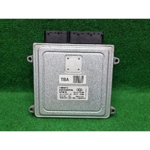 ECUs y Módulos de Computación Optima Usados 3910925100 - Product Image 2
