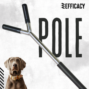 3ft Stainless Steel Dog Handling "Y" <b>Pole</b> with PVC Hand <b>Grip</b> and Sleeves - Product Image 2