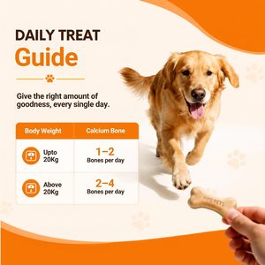 Supplément personnalisé de qualité supérieure à mâcher en os de chien à haute teneur en calcium pour la santé des articulations et des os Supplément de santé pour animaux de compagnie OEM approuvé par la FDA - Product Image 3