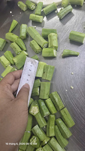 Okra Congelada Entera, Envasada al Vacío, Varillas de Okra, Vegetal Verde para Cocinar y Servir - CARYLN - Product Image 5