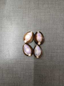 Coquillages de cauris violets naturels de grande taille, rares, brillants, pour la fabrication de bijoux, la décoration de la maison de style côtier, fournitures d'artisanat - Product Image 3