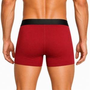 Men's <b>Boxer</b> Briefs Soft Stretch Comfortable Breathable Knitted Cotton Spandex Underwear Solid Color For Men Underwear - Product Image 2
