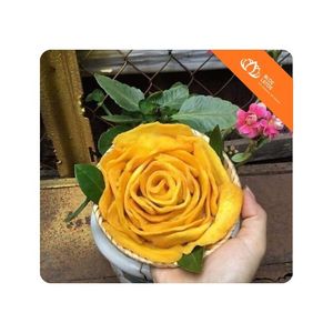 [BEST SELLER] l <b>Dried</b> Soft <b>Mango</b> Soft Chewy Tropical Treat for Daily Snacking and Travel Vietnam - Product Image 1