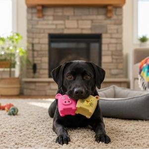 ของเล่นโยมมี่ ทนทาน แข็งแรง สำหรับสุนัขและแมว ของขวัญสุ่มพร้อมเสียง (มีเสียงบีบ) - Product Image 2