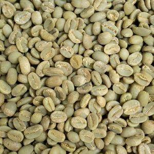 Fornitore Diretto Affidabile di Caffè dall'Indonesia: Chicchi di Caffè Verde Arabica <span class=keywords><strong>Gayo</strong></span> di Sumatra Premium, Grado A/1, Caffè Biologico di Specialità - Product Image 6