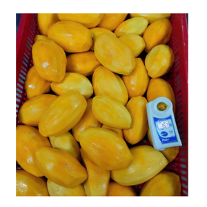 Mangues surgelées de qualité supérieure en provenance du Vietnam pour les entreprises internationales de commerce alimentaire - Product Image 3