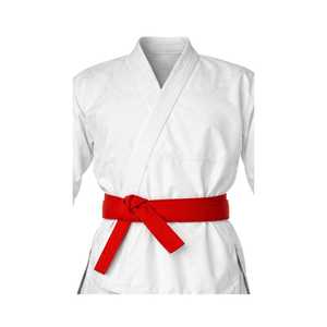 Vêtements d'arts martiaux personnalisés Woosung, combinaison de karaté, uniforme de karaté Gi - Product Image 6