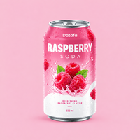 Datafa OEM/ODM Hotseller Frisdrank Perzik smaak |   Aangepast logo-ontwerp voor smaakproducten