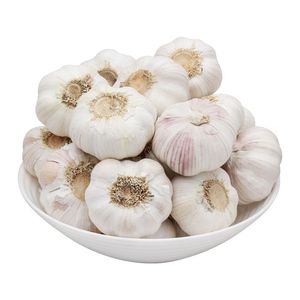 Bulbos de Ajo Blanco Fresco Natural Preparados para Compra al por Mayor por Importadores que Buscan Productos Recién Cosechados y Empacados - Product Image 1