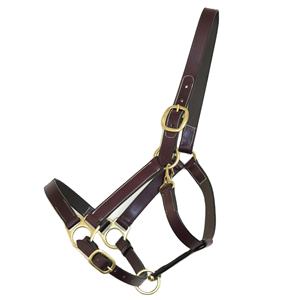 Licol de cheval d'entraînement en plein air en cuir rembourré souple avec boucles en laiton nickelé Style accessoire - Product Image 1