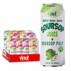 Sabores de variedad de bebidas de jugo de frutas de 490ml con pulpa, sin azúcar, OEM/ODM, Etiqueta Privada, precio de fábrica Vietnam - Product Image 1