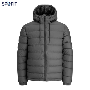 Nouvelle Veste d'Hiver Décontractée à Capuche Style Personnalisé 2026, Rembourrée, Unie, en Polyester, Coupe-Vent, avec Fermeture Éclair - Product Image 3