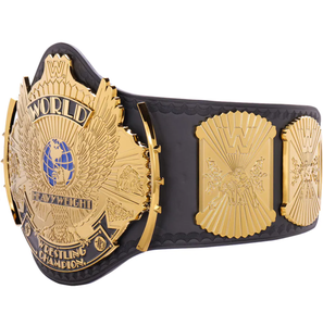 Cinturón de Campeonato Mundial de Lucha Libre Clásico con Alas de Águila Doradas, Placas Metálicas de 2MM, Proveedor OEM, Equipo de Artes Marciales - Product Image 3