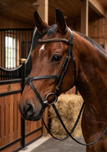 High Quality Durable Genuine Leather Rope <b>Halter</b> Softly Padded Lining for Daily Riding-Comfortable Horse Bridle India Supplier - Product Image 4