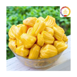 Frozen Jackfruit Vietnam Exporter | IQF Seedless Sweet Yellow | Bulk Packing Factory Supply - Product Image 4