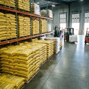 Alimento para Animales de Maíz Amarillo de Alta Calidad, Rico en Energía y Nutrientes, para Aves de Corral, Ganadería y Alimentación Comercial - Product Image 6