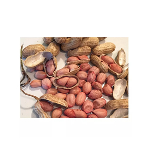 Arachides en gros, approvisionnement en vrac, prix abordable, noix de qualité supérieure - Product Image 6